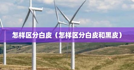 怎样区分白皮（怎样区分白皮和黑皮）