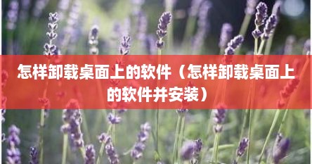 怎样卸载桌面上的软件（怎样卸载桌面上的软件并安装）