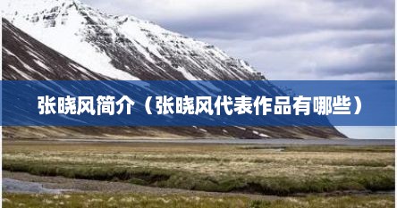 张晓风简介（张晓风代表作品有哪些）