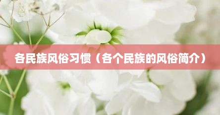 各民族风俗习惯（各个民族的风俗简介）