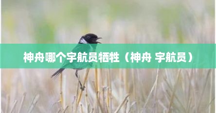 神舟哪个宇航员牺牲（神舟 宇航员）