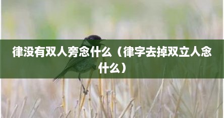 律没有双人旁念什么（律字去掉双立人念什么）