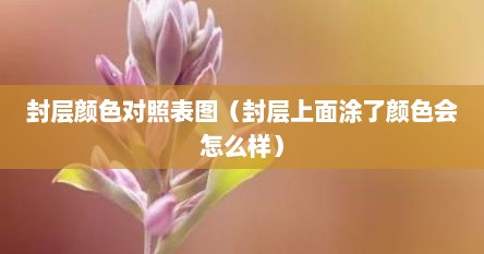 封层颜色对照表图（封层上面涂了颜色会怎么样）