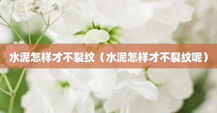 水泥怎样才不裂纹（水泥怎样才不裂纹呢）