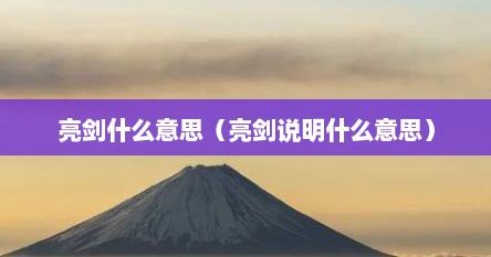 亮剑什么意思（亮剑说明什么意思）