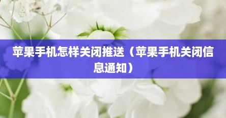 苹果手机怎么关闭通知推送中心（苹果手机怎么关闭通知信息详情）