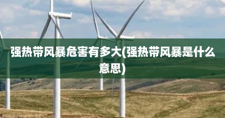 强热带风暴危害有多大(强热带风暴是什么意思)