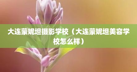 大连蒙妮坦摄影学校（大连蒙妮坦美容学校怎么样）