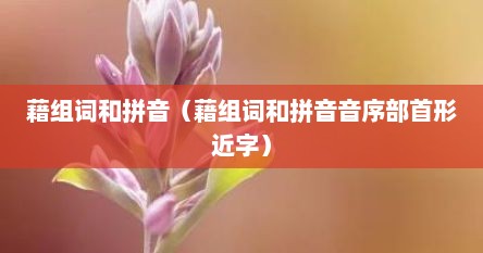 藉组词和拼音（藉组词和拼音音序部首形近字）