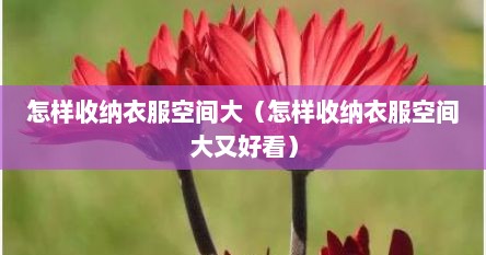 怎样收纳衣服空间大（怎样收纳衣服空间大又好看）