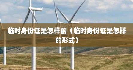 临时身份证是怎样的（临时身份证是怎样的形式）