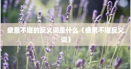 疲惫不堪的反义词是什么（疲累不堪反义词）