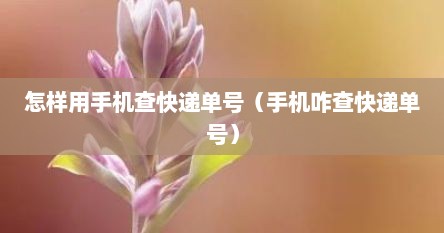怎样用手机查快递单号（手机咋查快递单号）