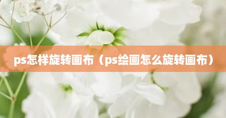 ps怎样旋转画布（ps绘画怎么旋转画布）