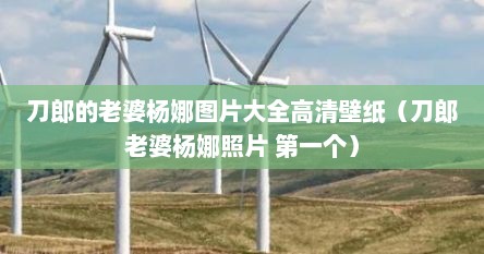刀郎的老婆杨娜图片大全高清壁纸（刀郎老婆杨娜照片 第一个）