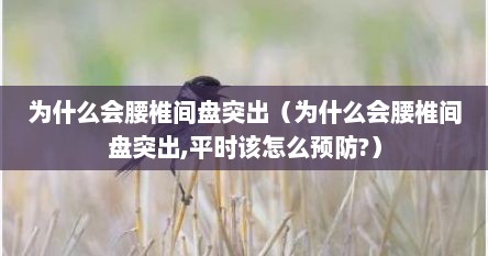 为什么会腰椎间盘突出（为什么会腰椎间盘突出,平时该怎么预防?）