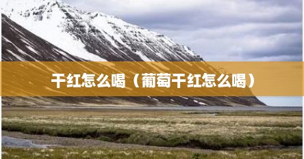 干红怎么喝（葡萄干红怎么喝）