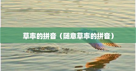 草率的拼音（随意草率的拼音）