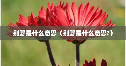 别野是什么意思（别野是什么意思?）