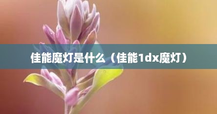 佳能魔灯是什么（佳能1dx魔灯）
