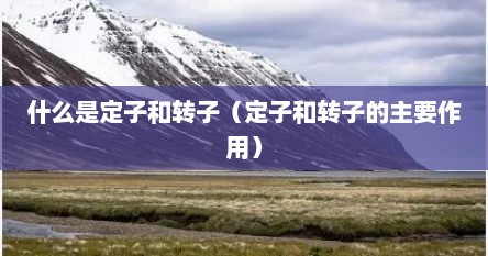 什么是定子和转子（定子和转子的主要作用）
