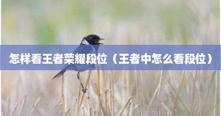 怎样看王者荣耀段位（王者中怎么看段位）