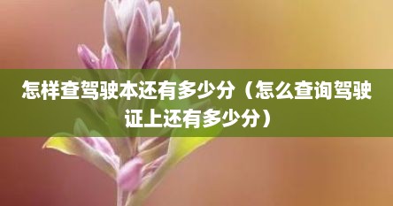 怎样查驾驶本还有多少分（怎么查询驾驶证上还有多少分）