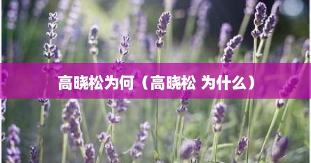 高晓松为何（高晓松 为什么）