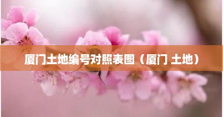 厦门土地编号对照表图（厦门 土地）