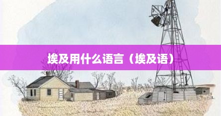 埃及用什么语言（埃及语）