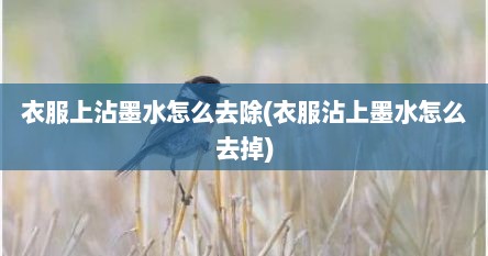 衣服上沾墨水怎么去除(衣服沾上墨水怎么去掉)