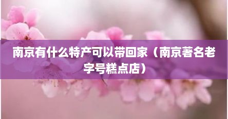 南京有什么特产可以带回家（南京著名老字号糕点店）
