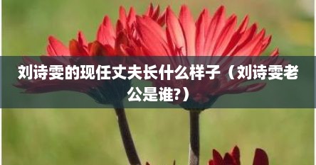 刘诗雯的现任丈夫长什么样子（刘诗雯老公是谁?）