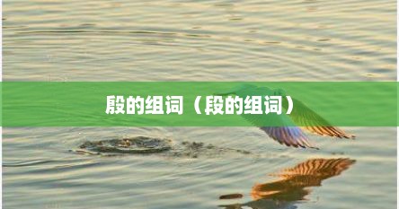 殷的组词（段的组词）