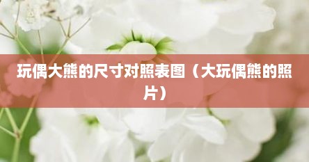 玩偶大熊的尺寸对照表图（大玩偶熊的照片）