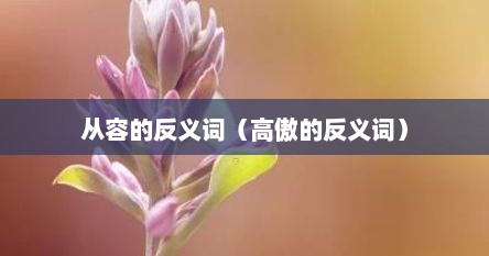 从容的反义词（高傲的反义词）