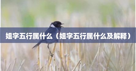 姐字五行属什么（姐字五行属什么及解释）
