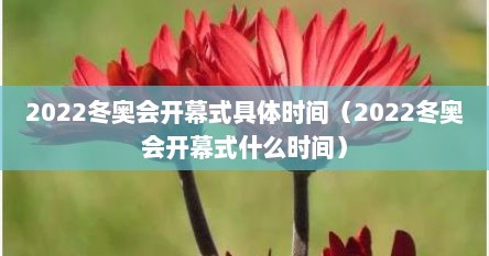 2022冬奥会开幕式具体时间（2022冬奥会开幕式什么时间）