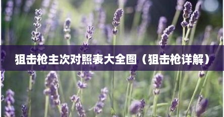 狙击枪主次对照表大全图（狙击枪详解）
