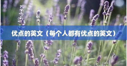 优点的英文（每个人都有优点的英文）