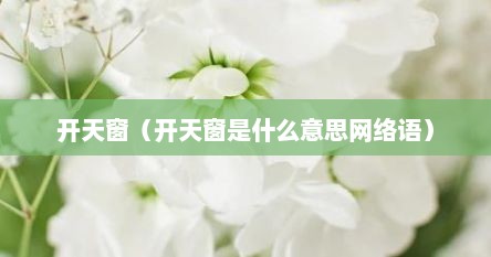 开天窗（开天窗是什么意思网络语）