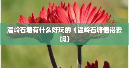 温岭石塘有什么好玩的（温岭石塘值得去吗）