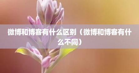 微博和博客有什么区别（微博和博客有什么不同）