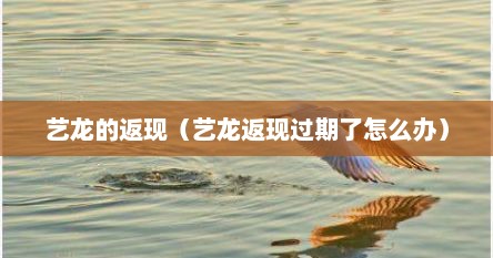 艺龙的返现（艺龙返现过期了怎么办）