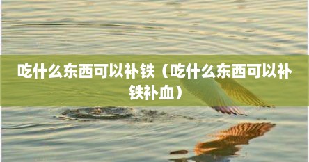 吃什么东西可以补铁（吃什么东西可以补铁补血）