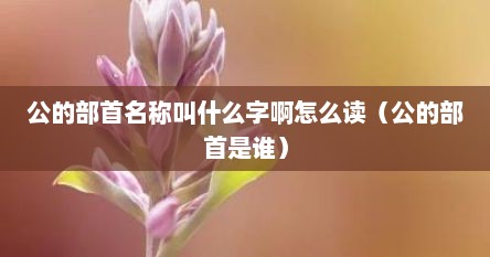 公的部首名称叫什么字啊怎么读（公的部首是谁）
