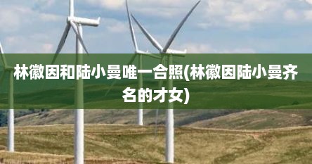 林徽因和陆小曼唯一合照(林徽因陆小曼齐名的才女)