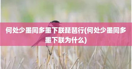 何处少墨同多墨下联琵琶行(何处少墨同多墨下联为什么)