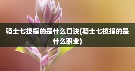骑士七技指的是什么口诀(骑士七技指的是什么职业)