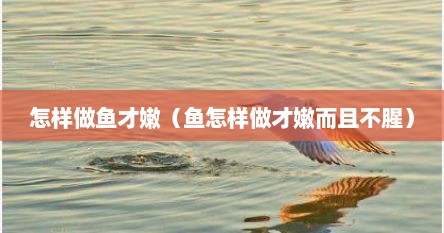 怎样做鱼才嫩（鱼怎样做才嫩而且不腥）